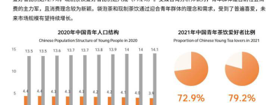 茶香新风尚探秘茶饮的未来方向