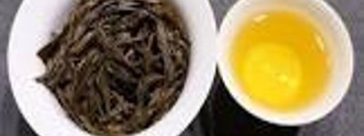 茶香漫谈：养生茶的茶文化与养生之道