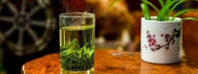 热门养生茶：探索绿茶的抗氧化秘密，健康从一杯茶开始！