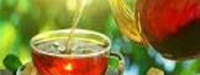 探秘养生茶：从绿茶、红茶到花草茶，一丝不苟的养生推荐，让你健康无忧！