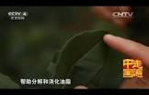 茶材宝库：养生茶的奥秘与传奇