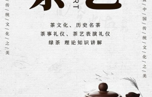 茶艺新潮流：探寻当代茶文化的创新与传统融合之道