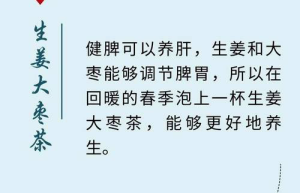 养生茶与健康新趋势最新研究和养生秘诀