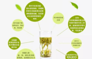 热门话题：免疫力提升秘诀，养生茶如何助您抵御病毒侵袭？
