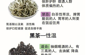 体质与养生茶了解新版个性茶饮推荐