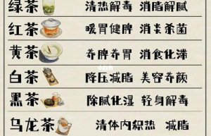 体质与养生茶了解新版个性茶饮方案