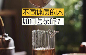 体质与养生茶找到您的健康平衡点