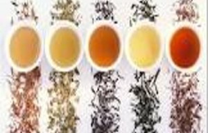 养生茶与体质：养生茶是否真的适合每一个人？