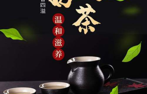 热门体质养生茶：解锁健康密码，专茶专养，迈向健康人生！