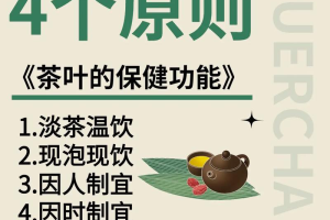 养生茶新星探索茶香的健康新方向