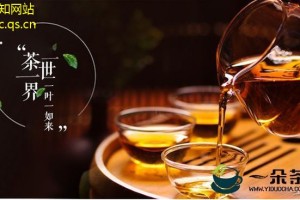 品味养生茶：茶文化与健康的完美融合