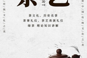 茶艺新潮流：探寻当代茶文化的创新与传统融合之道