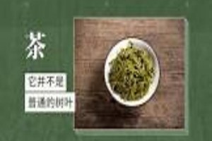 荷叶漫谈：养生茶的茶文化之旅