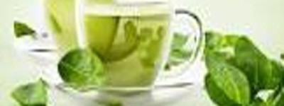 养生茶对慢性病预防的作用。