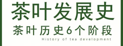 茶文化漫谈：新茶季来袭，探寻今年最热门的茶饮趋势