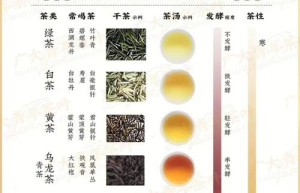 茶材宝库揭秘：热门养生茶材大揭秘，健康养生从茶饮开始！